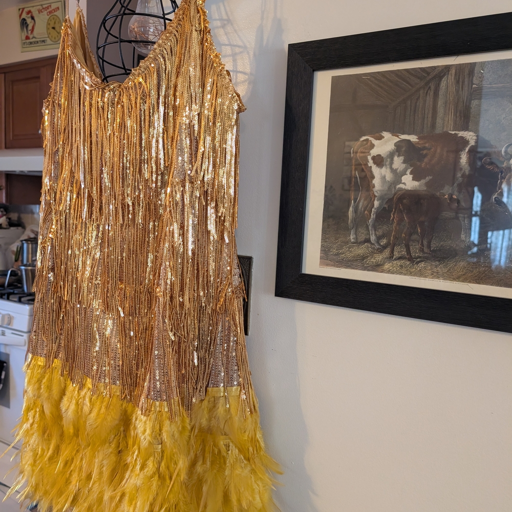 Gold and Yellow Fringe Dress